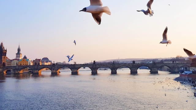 Free as a Bird