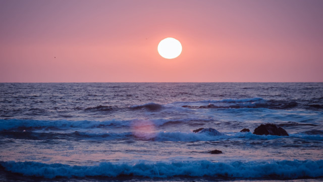 Echoes of Bliss