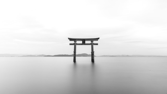 Liquid Mind VIII: Sleep
