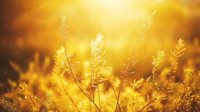 Filled with Light