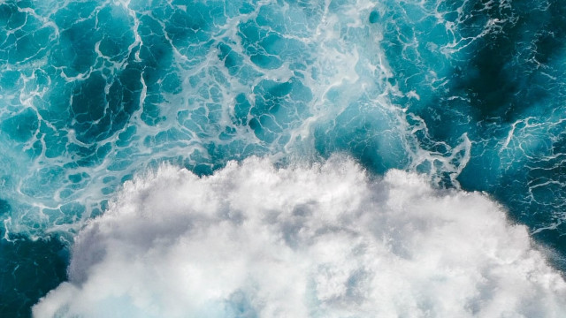 Waves of Life