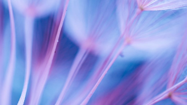 Binaural Beats to Help Anxiety