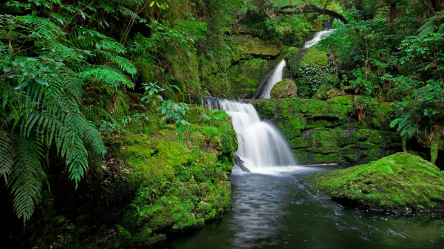 Malaysian Rainforest Stream Stress Relief