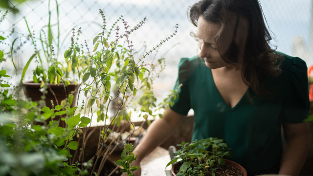 Planting Intentions for Spring