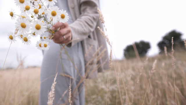 Engaging Imagination: Unfurling Flower