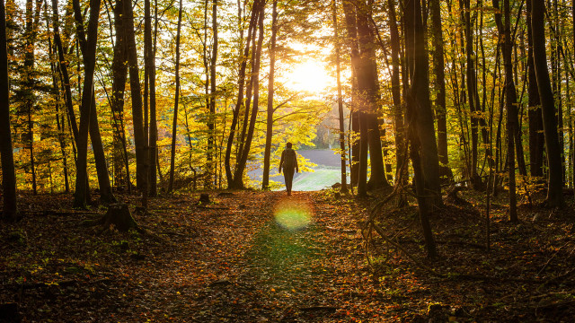 Ease Anxiety By Releasing Repetitive Thoughts