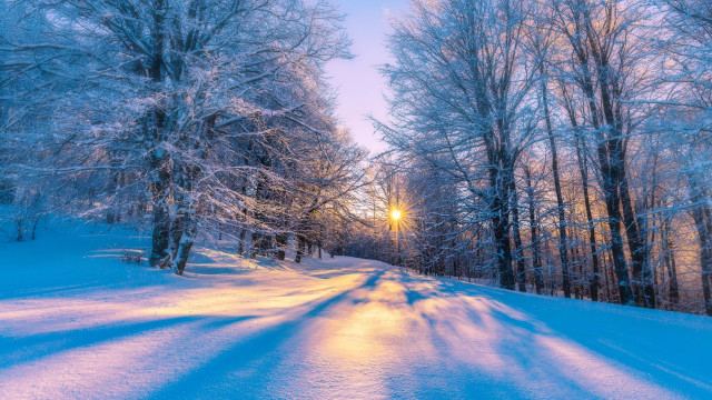 Winter Solstice Guided Visualization