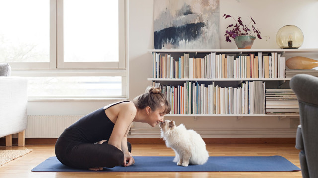 Find Balance With Your Pet