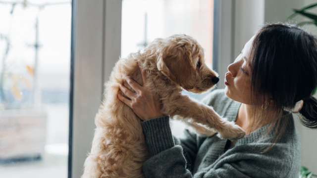 Stay Present with Your Pet