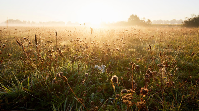 Gratitude Sound Bath