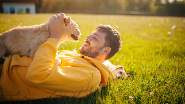 Solar Chakra Balance for Pets