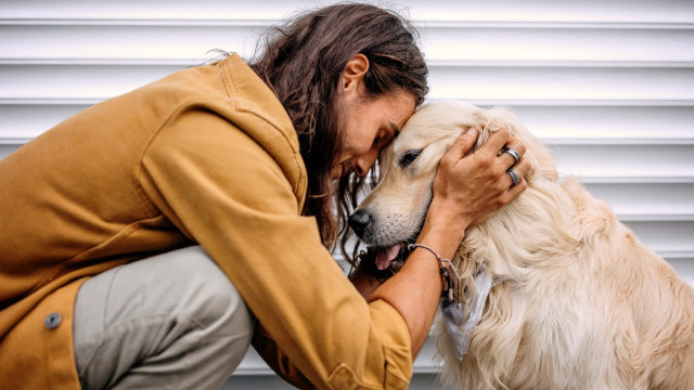 Third-Eye Chakra Balance for Pets