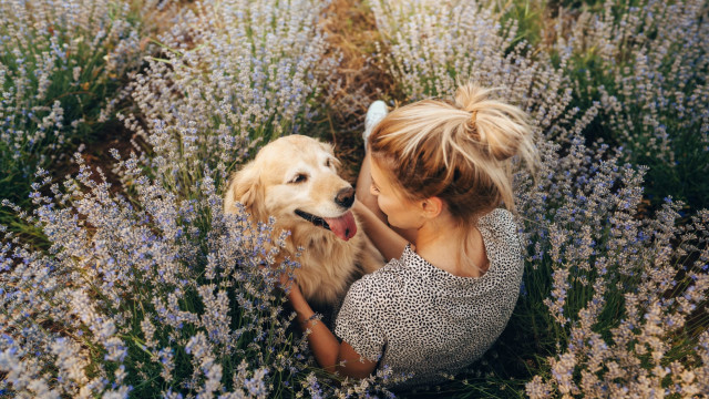 Crown Chakra Balance for Pets