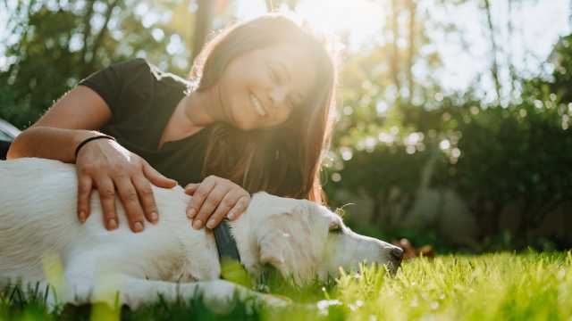 Bask in Happiness with Your Pet