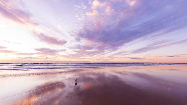 Start Your Day with Stillness