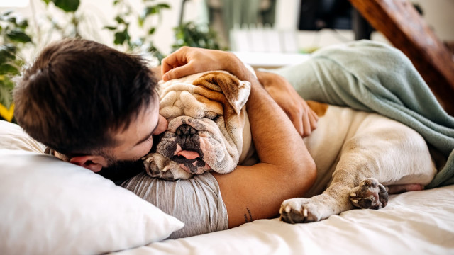 Rise and Shine with Your Pet