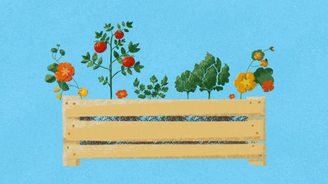 GROW: Tiny Gardens — No Space? No Problem