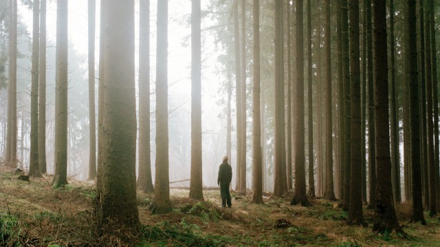 Are You Lonely or Uncomfortable?