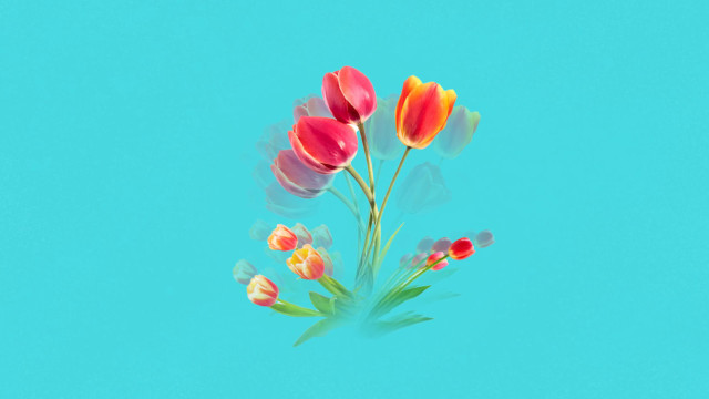 Little Ida's Flower