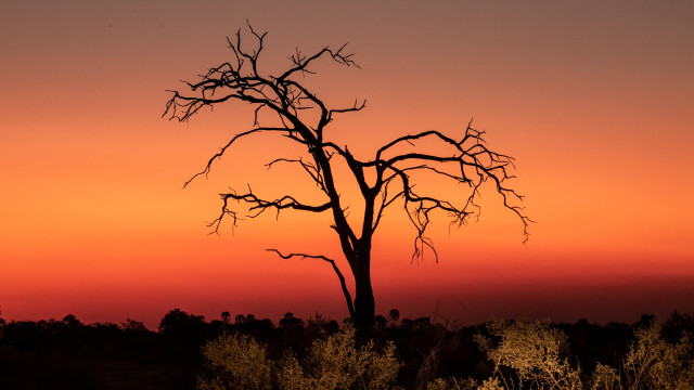 Can We Stop Destroying the Planet?