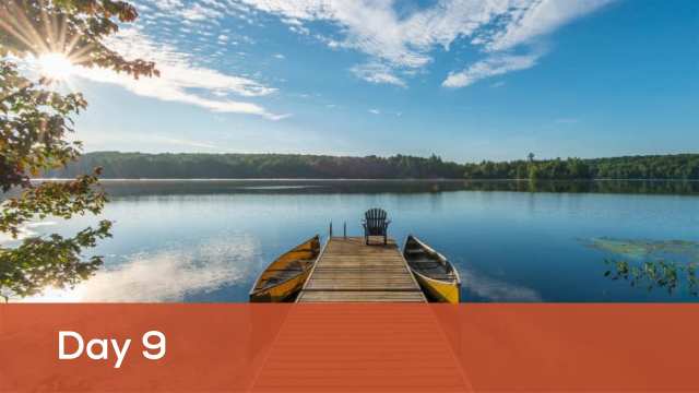 Deep Lake Visualization