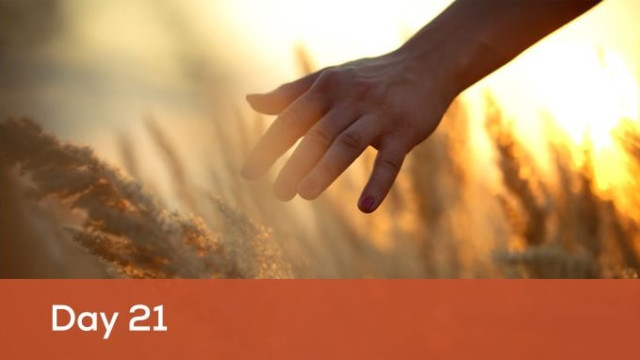 21 Days to Calm Anxiety: Our 5 Biggest Takeaways