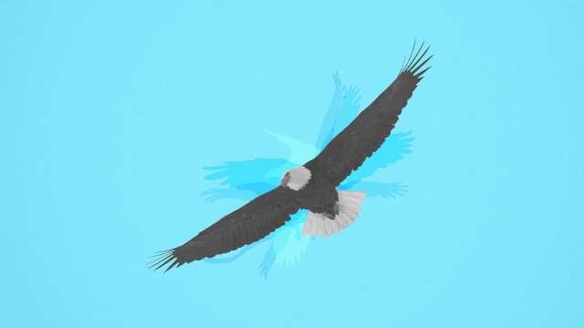 Gray Eagle and His Five Brothers
