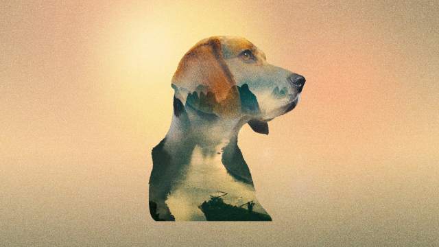 Lo Sun the Blind Boy