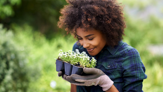 Gardening For Personal Growth