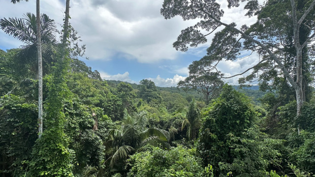 Exploring Ancestral Medicine in Peru