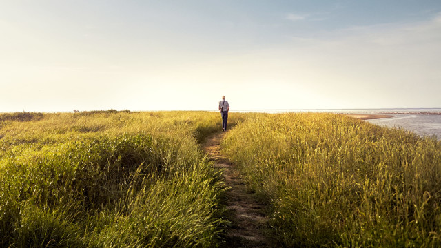 Meditation for Your Nature Walk