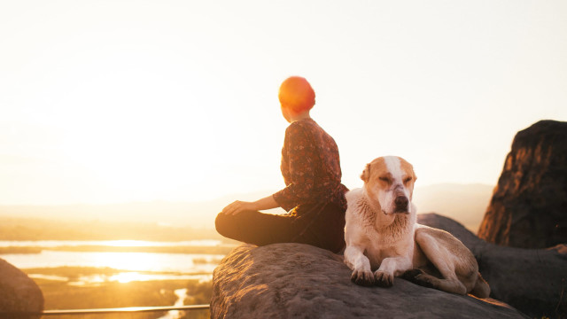 How to Meditate with Your Pet