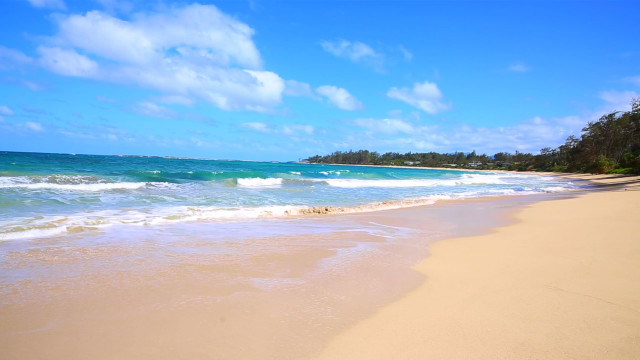 Relax at the Beach