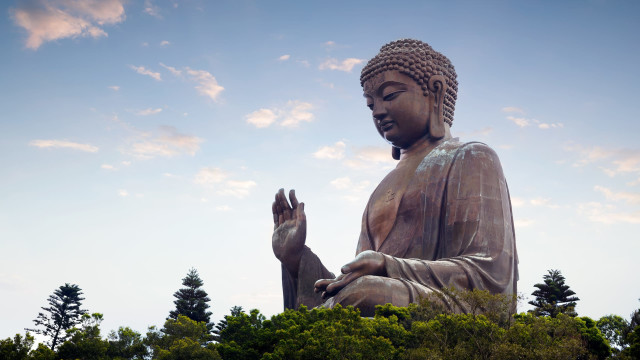 Embody Buddhism's Boundless States