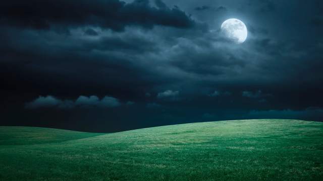 Befriend Regrets When Grieving