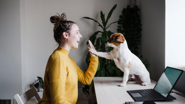 Communicate Better with Your Pet