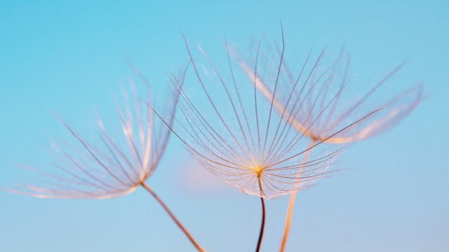 Breathe to Connect With Nature