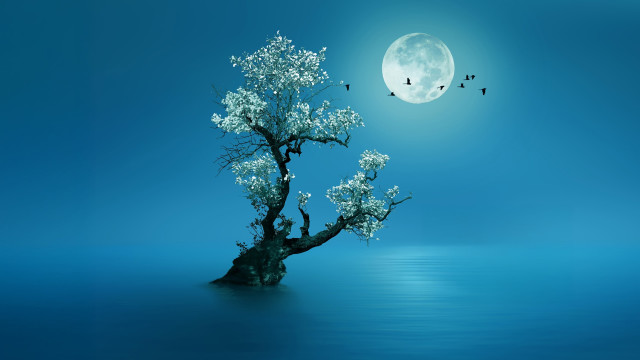 Yoga Nidra for Deep Relaxation