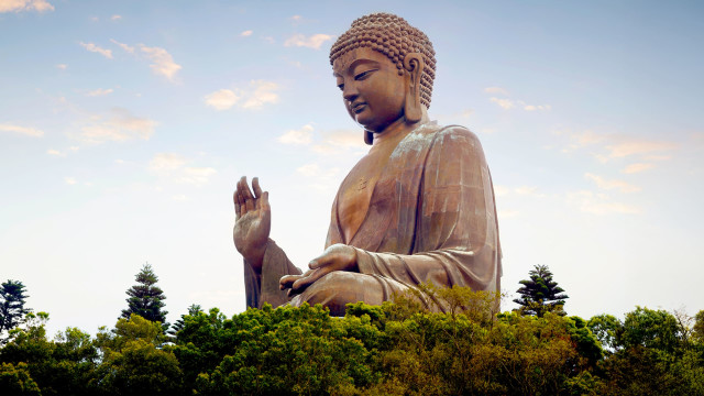 Embody Buddhism’s Boundless States