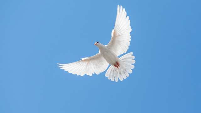 Find Freedom in Suffering