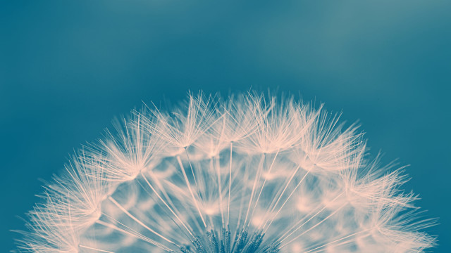 Break Free From a Bad Mood