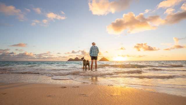 Calm Mind Visualization