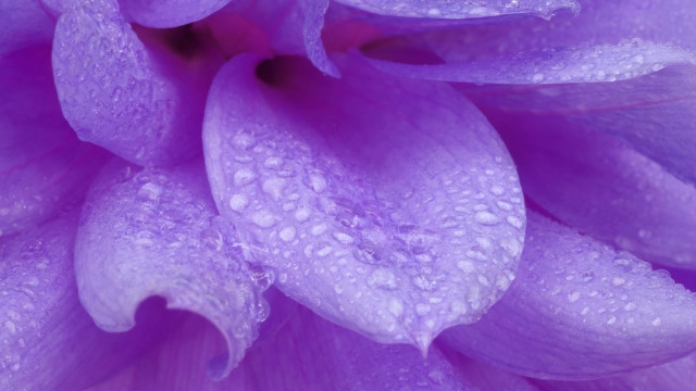 Shower Yourself with Love