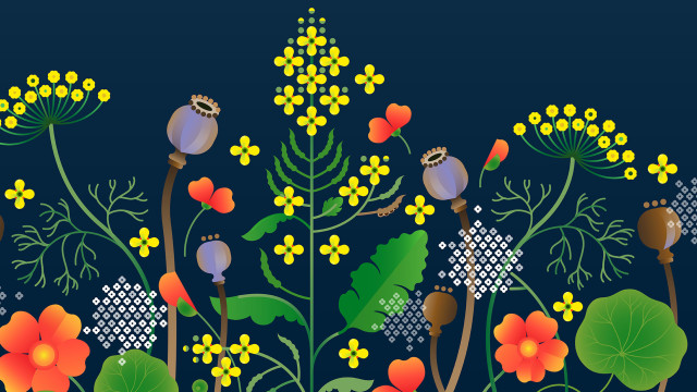 Spring’s Fleeting Flowers