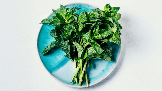 Nutrient Wealth of Herbs