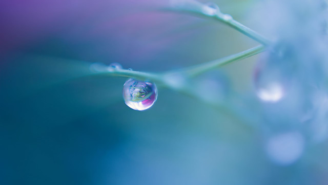 Practice Mindful Listening