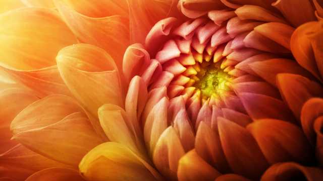 What Happens with Daily Meditation?
