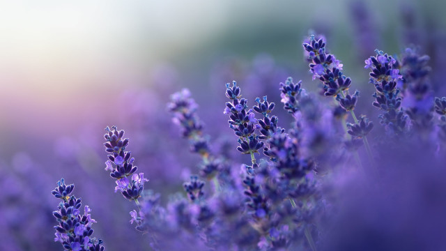 Cope with Unexpected Stress