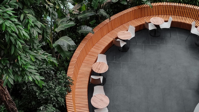 How I Found Joy on a Mall Bench