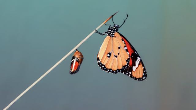 Handle Change When You Don’t Choose It